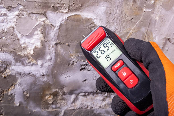Best Residential Mold Removal  in Red Wing, MN