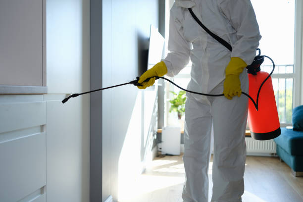Best Crawl Space Mold Removal  in Red Wing, MN