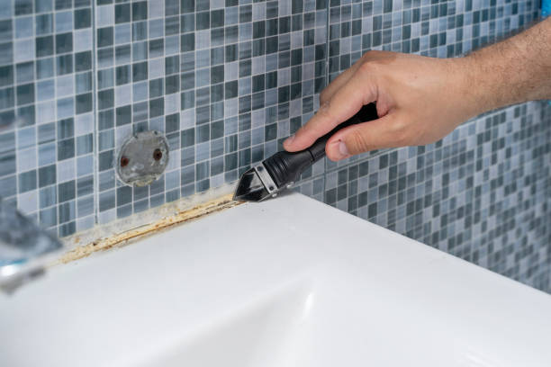 Best Local Mold Removal Service  in Red Wing, MN